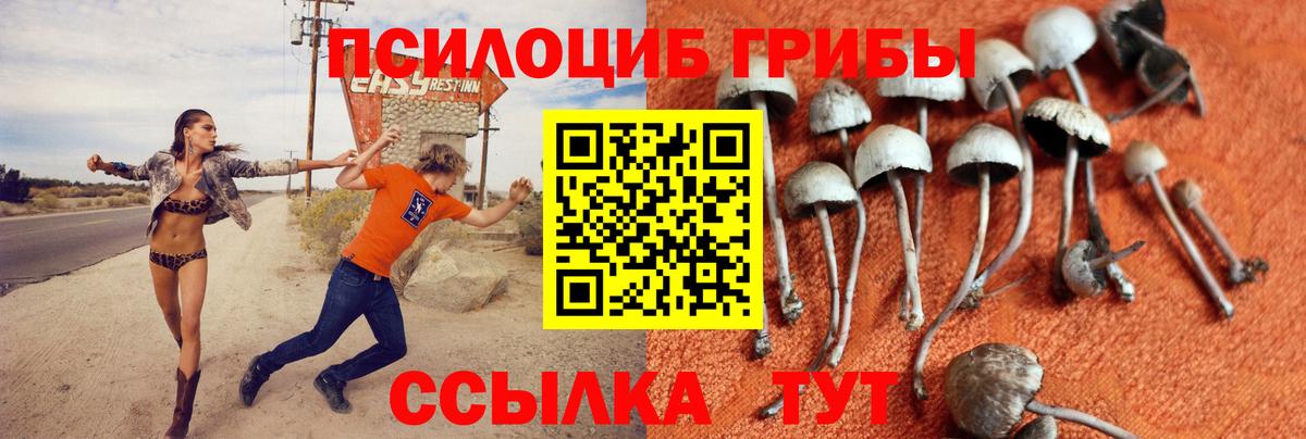 Псилоцибиновые грибы ЛСД Нефтекамск