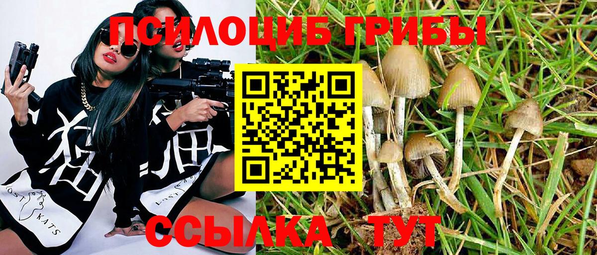Псилоцибиновые грибы Magic Shrooms  Псилоцибиновые грибы прущие грибы  Нефтекамск  Вход с VPN 